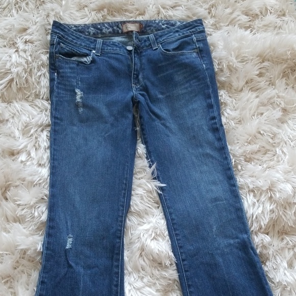 Paige - Picture 4 of 5